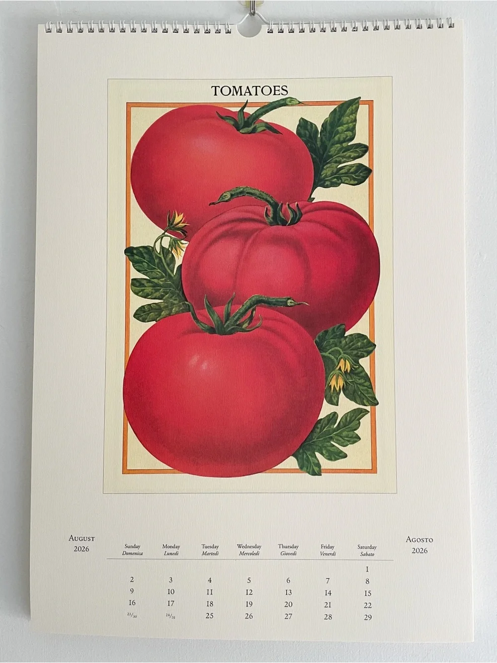 Cavallini 2026 Farmers Market Wall Calendar Vintage Botanical Vegetable Art NEW